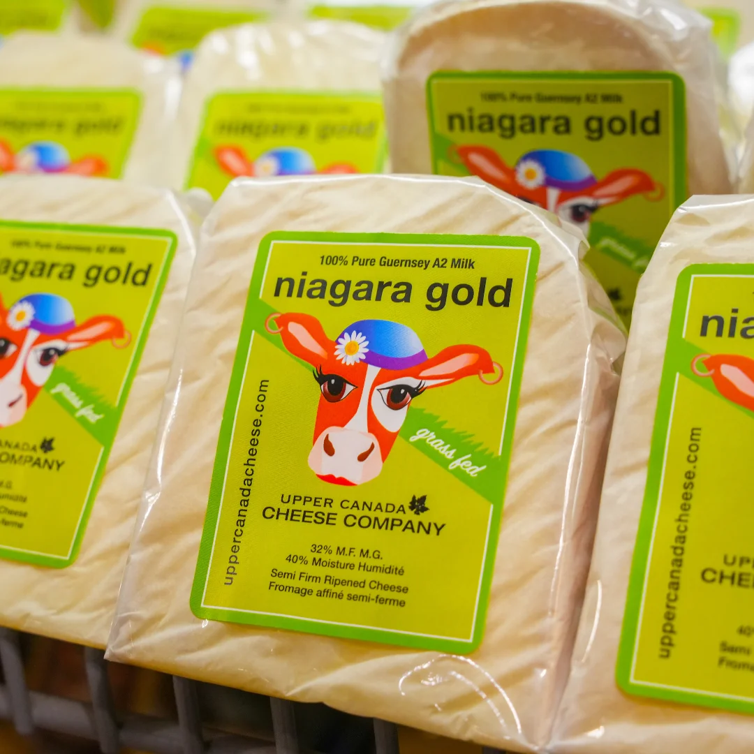 Blocks of cheese on a shelf with a label that says "Niagara Gold" and an illustration of a cows face