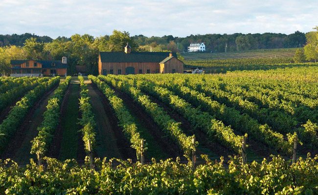 Hidden Bench Estate Winery