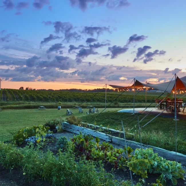 Wine & Craft Beverages