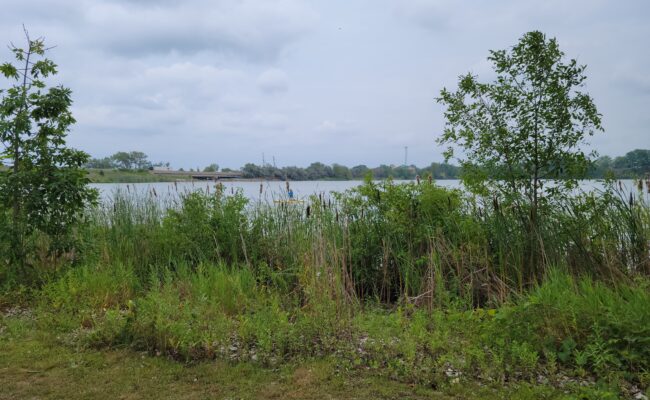 Jordan Harbour Conservation Area