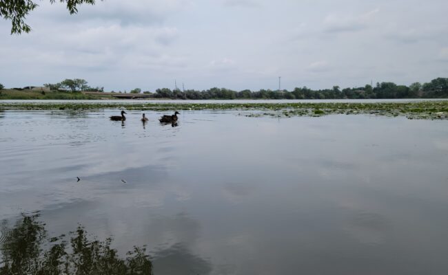 Jordan Harbour Conservation Area