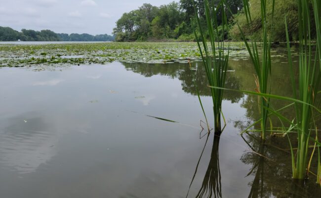 Jordan Harbour Conservation Area