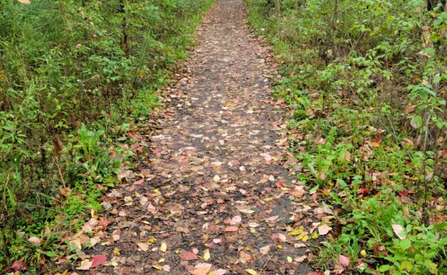 Louth Conservation Area