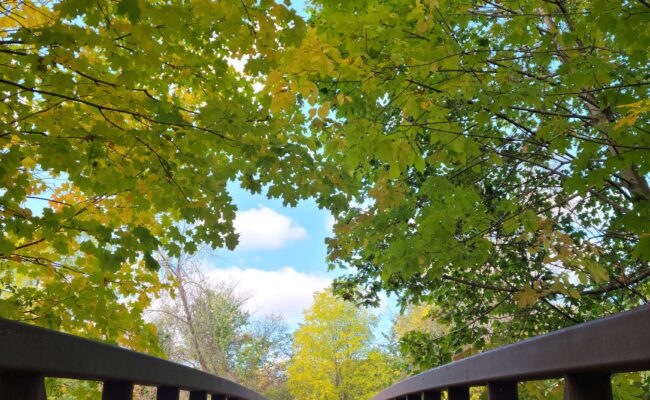 Ball’s Falls Conservation Area
