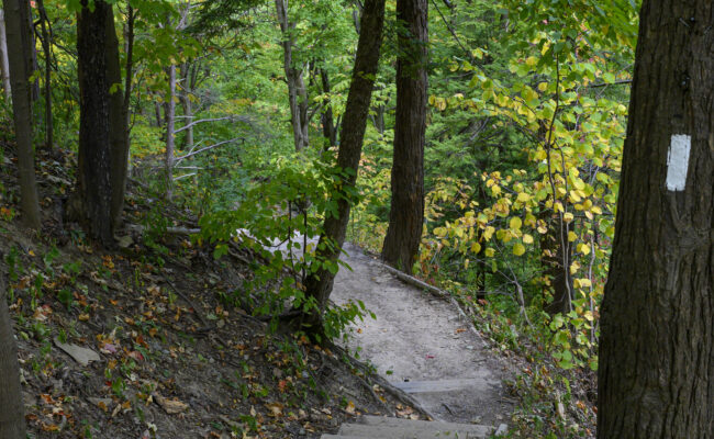 Beamer Memorial Conservation Area