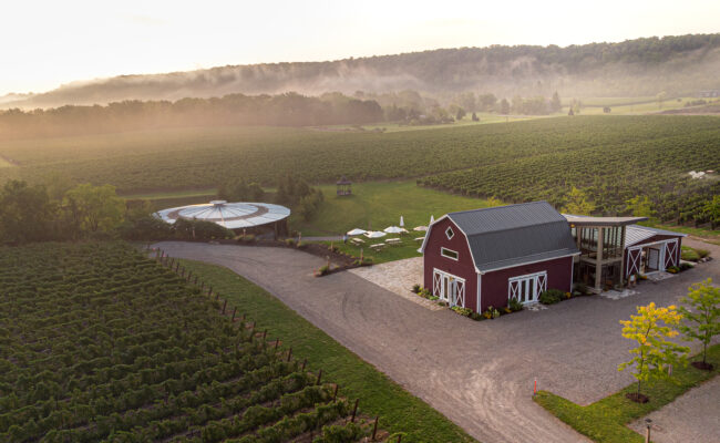 Cave Spring Vineyard