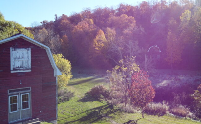 Cave Springs Conservation Area