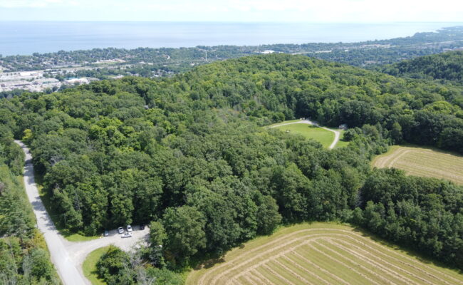 Beamer Memorial Conservation Area