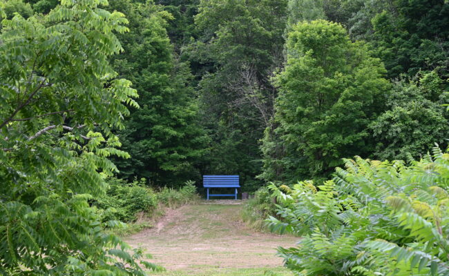 Cave Springs Conservation Area