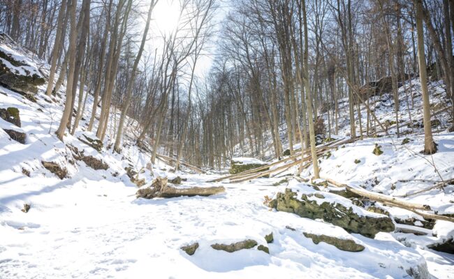 Louth Conservation Area
