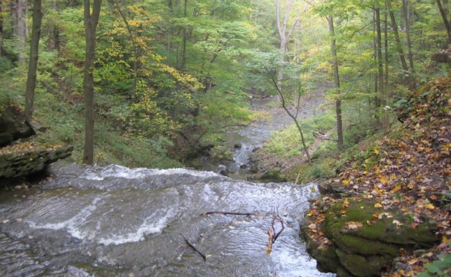 Louth Conservation Area