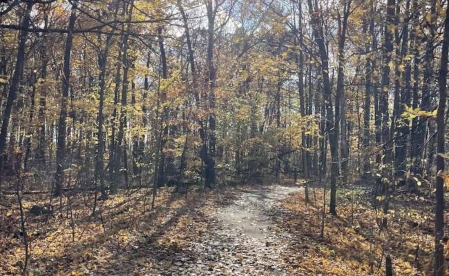 Kinsmen Park